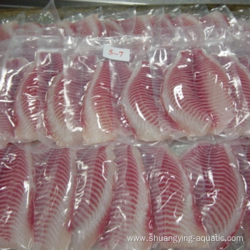 Frozen Tilapia Fish Fillet With Vacuum Pack